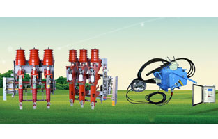 關(guān)于高壓負荷開(kāi)關(guān)前面雷爾沃電器已經(jīng)為大家整理了不少知識，不知道你對柱上負荷開(kāi)關(guān)有了解沒(méi)？如今在市場(chǎng)上比較常見(jiàn)的柱上負荷開(kāi)關(guān)主要是壓氣式負荷開(kāi)關(guān)以及真空負荷開(kāi)關(guān)，我們分別來(lái)為大家做一個(gè)比較簡(jiǎn)單的講解。